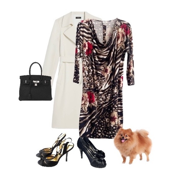 ❤️ CACHE Dress , Animal and Floral Career/Date Night - Picture 2 of 16